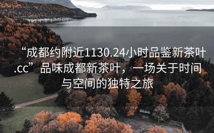 “成都約附近1130.24小時(shí)品鑒新茶葉.cc”品味成都新茶葉，一場(chǎng)關(guān)于時(shí)間與空間的獨特之旅