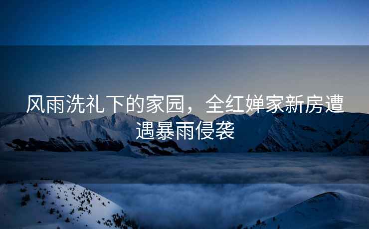 風(fēng)雨洗禮下的家園，全紅嬋家新房遭遇暴雨侵襲