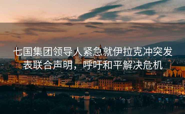 七國集團領(lǐng)導人緊急就伊拉克沖突發(fā)表聯(lián)合聲明，呼吁和平解決危機