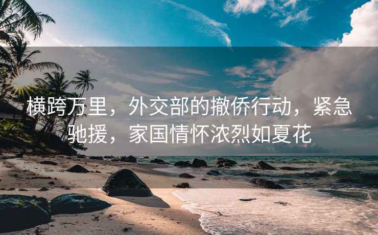 橫跨萬(wàn)里，外交部的撤僑行動(dòng)，緊急馳援，家國情懷濃烈如夏花