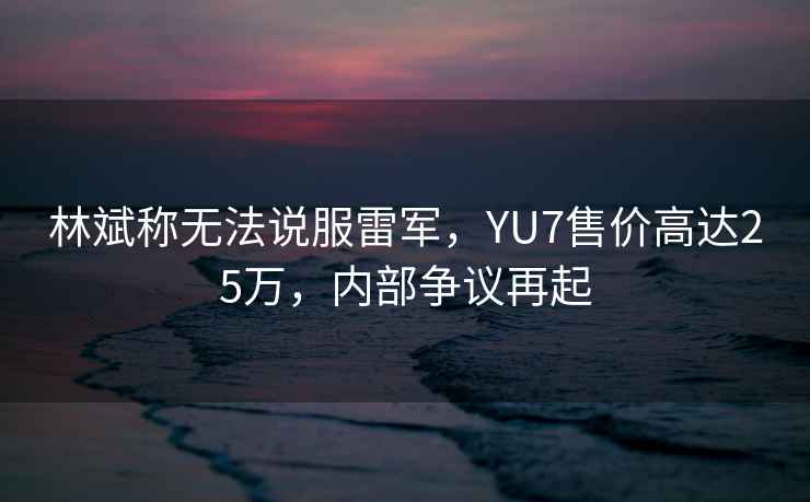 林斌稱(chēng)無(wú)法說(shuō)服雷軍，YU7售價(jià)高達25萬(wàn)，內部爭議再起