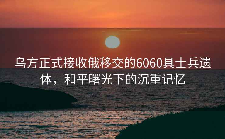 烏方正式接收俄移交的6060具士兵遺體，和平曙光下的沉重記憶