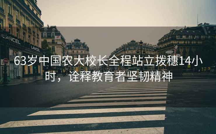 63歲中國農大校長(cháng)全程站立撥穗14小時(shí)，詮釋教育者堅韌精神