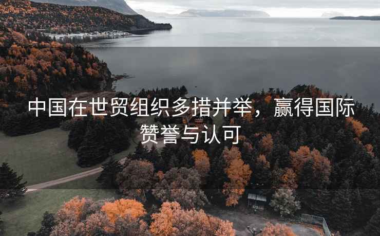中國在世貿組織多措并舉，贏(yíng)得國際贊譽(yù)與認可
