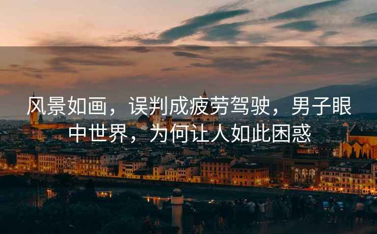 風(fēng)景如畫(huà)，誤判成疲勞駕駛，男子眼中世界，為何讓人如此困惑