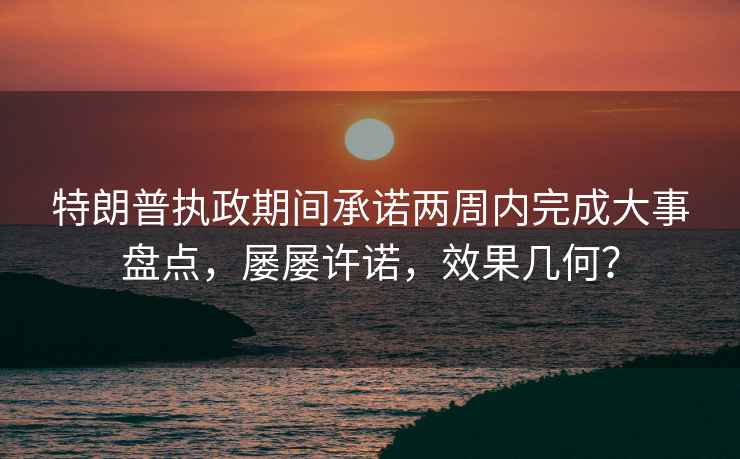 特朗普執政期間承諾兩周內完成大事盤(pán)點(diǎn)，屢屢許諾，效果幾何？