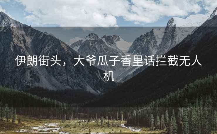 伊朗街頭，大爺瓜子香里話(huà)攔截無(wú)人機