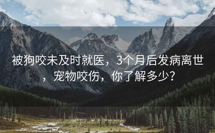 被狗咬未及時(shí)就醫，3個(gè)月后發(fā)病離世，寵物咬傷，你了解多少？