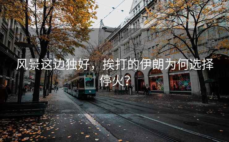 風(fēng)景這邊獨好，挨打的伊朗為何選擇?；?？