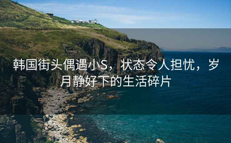 韓國街頭偶遇小S，狀態(tài)令人擔憂(yōu)，歲月靜好下的生活碎片