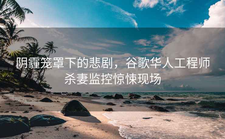 陰霾籠罩下的悲劇，谷歌華人工程師殺妻監控驚悚現場(chǎng)