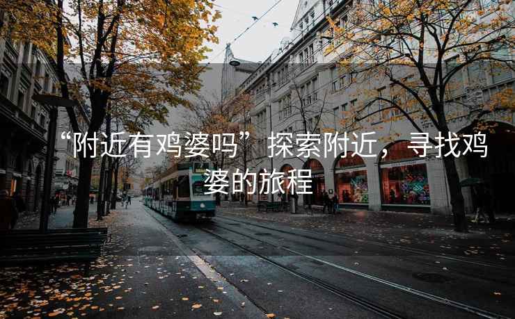 “附近有雞婆嗎”探索附近，尋找雞婆的旅程
