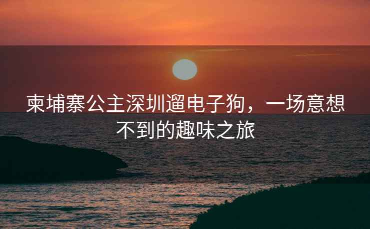 柬埔寨公主深圳遛電子狗，一場(chǎng)意想不到的趣味之旅