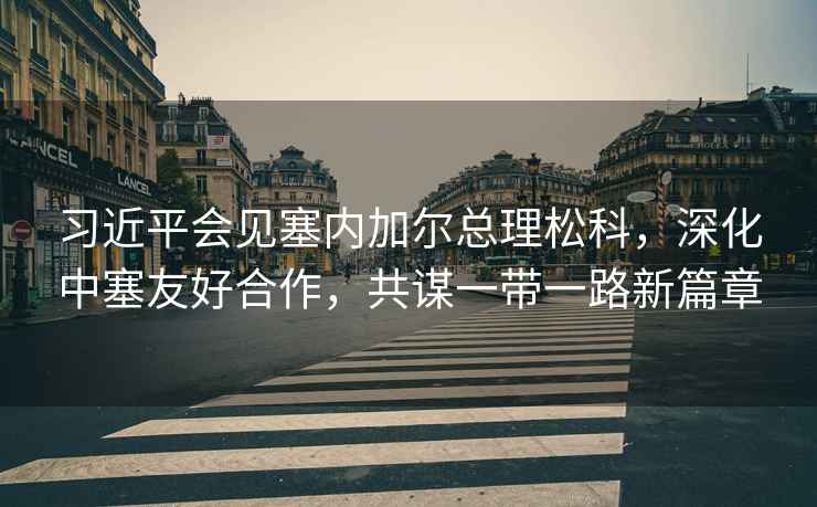 習近平會(huì )見(jiàn)塞內加爾總理松科，深化中塞友好合作，共謀一帶一路新篇章