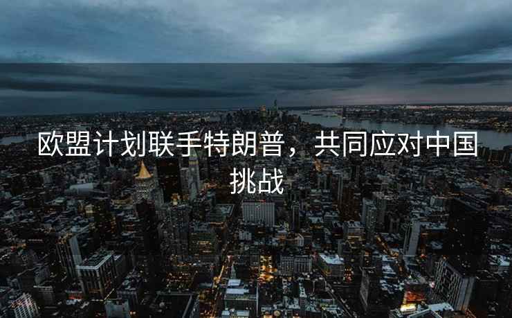 歐盟計劃聯(lián)手特朗普，共同應對中國挑戰