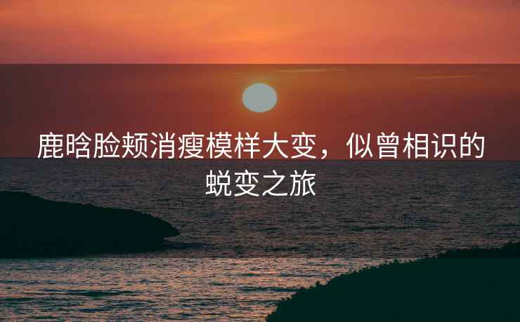 鹿晗臉頰消瘦模樣大變，似曾相識的蛻變之旅
