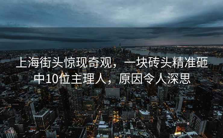 上海街頭驚現奇觀(guān)，一塊磚頭精準砸中10位主理人，原因令人深思