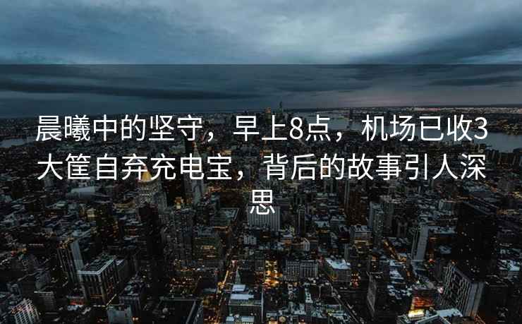 晨曦中的堅守，早上8點(diǎn)，機場(chǎng)已收3大筐自棄充電寶，背后的故事引人深思