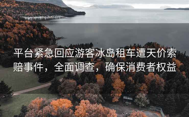 平臺緊急回應游客冰島租車(chē)遭天價(jià)索賠事件，全面調查，確保消費者權益