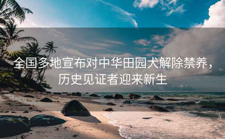 全國多地宣布對中華田園犬解除禁養，歷史見(jiàn)證者迎來(lái)新生