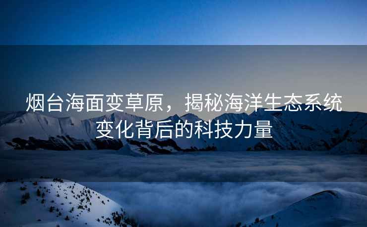 煙臺海面變草原，揭秘海洋生態(tài)系統變化背后的科技力量