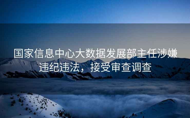 國家信息中心大數據發(fā)展部主任涉嫌違紀違法，接受審查調查