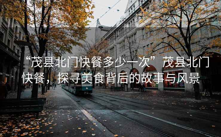 “茂縣北門(mén)快餐多少一次”茂縣北門(mén)快餐，探尋美食背后的故事與風(fēng)景