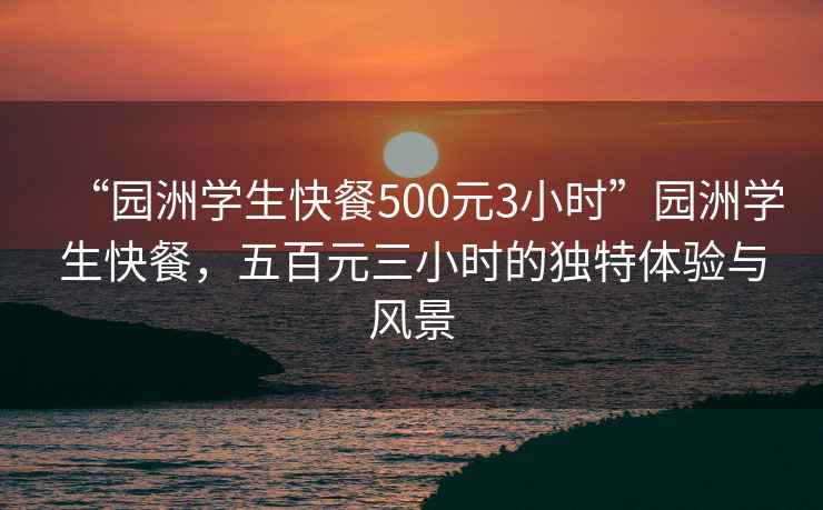 “園洲學(xué)生快餐500元3小時(shí)”園洲學(xué)生快餐，五百元三小時(shí)的獨特體驗與風(fēng)景