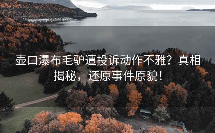 壺口瀑布毛驢遭投訴動(dòng)作不雅？真相揭秘，還原事件原貌！
