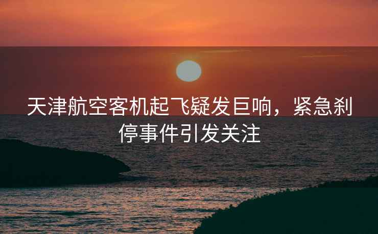 天津航空客機起飛疑發(fā)巨響，緊急剎停事件引發(fā)關(guān)注