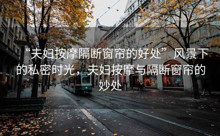 “夫婦按摩隔斷窗簾的好處”風(fēng)景下的私密時(shí)光，夫婦按摩與隔斷窗簾的妙處