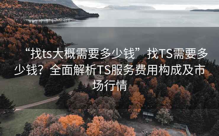 “找ts大概需要多少錢(qián)”找TS需要多少錢(qián)？全面解析TS服務(wù)費用構成及市場(chǎng)行情