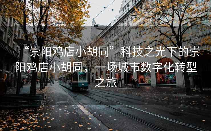 “崇陽(yáng)雞店小胡同”科技之光下的崇陽(yáng)雞店小胡同，一場(chǎng)城市數字化轉型之旅