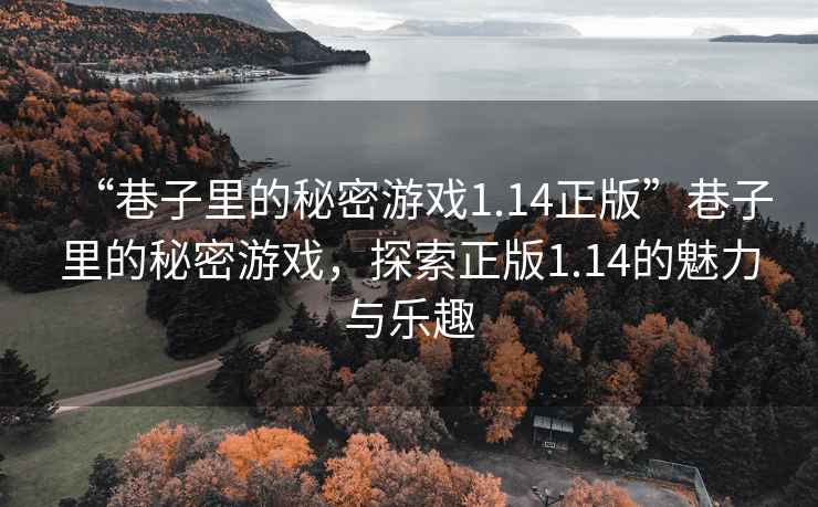 “巷子里的秘密游戲1.14正版”巷子里的秘密游戲，探索正版1.14的魅力與樂(lè )趣