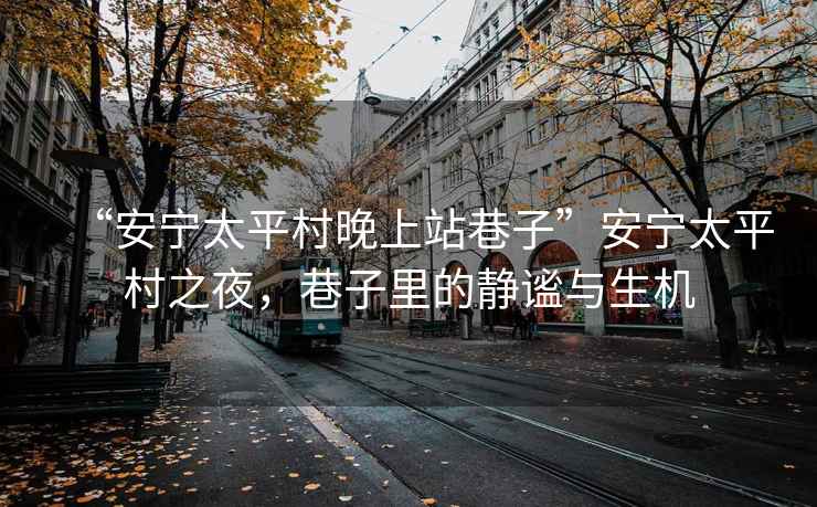 “安寧太平村晚上站巷子”安寧太平村之夜，巷子里的靜謐與生機