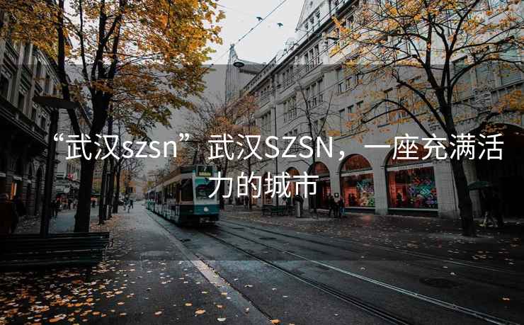 “武漢szsn”武漢SZSN，一座充滿(mǎn)活力的城市
