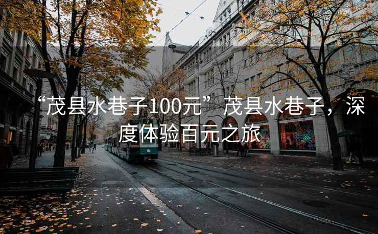 “茂縣水巷子100元”茂縣水巷子，深度體驗百元之旅