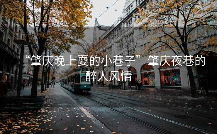 “肇慶晚上耍的小巷子”肇慶夜巷的醉人風(fēng)情
