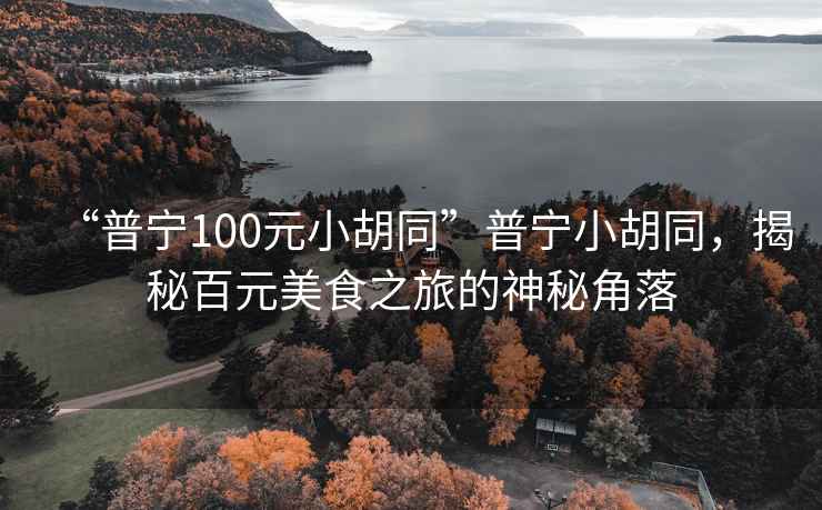 “普寧100元小胡同”普寧小胡同，揭秘百元美食之旅的神秘角落