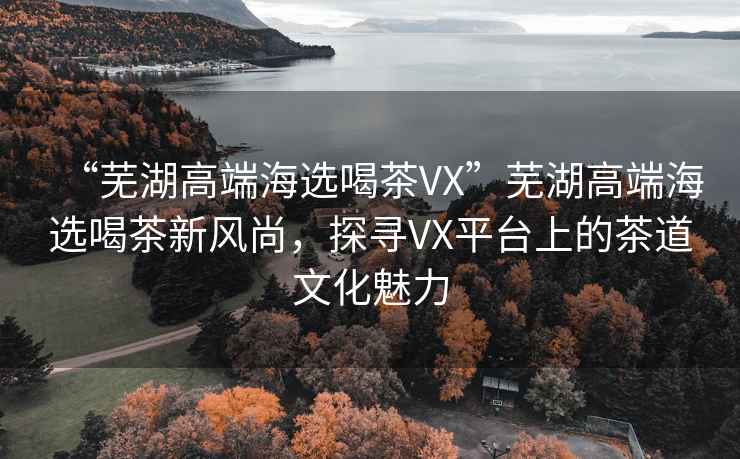 “蕪湖高端海選喝茶VX”蕪湖高端海選喝茶新風(fēng)尚，探尋VX平臺上的茶道文化魅力