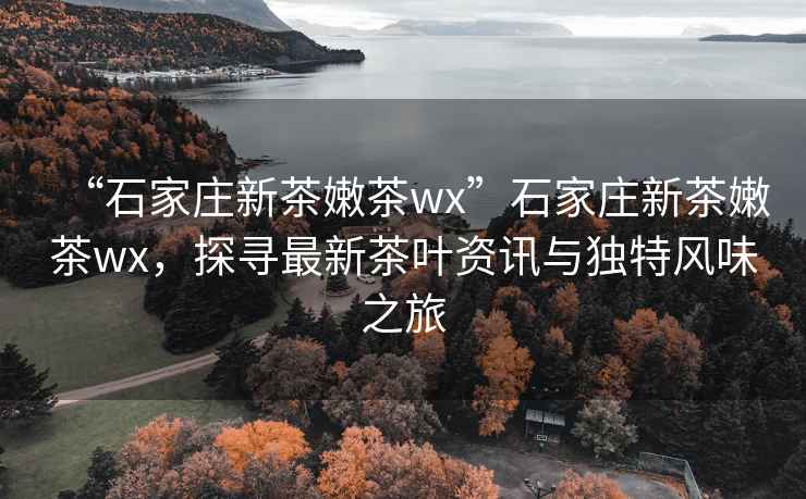 “石家莊新茶嫩茶wx”石家莊新茶嫩茶wx，探尋最新茶葉資訊與獨特風(fēng)味之旅
