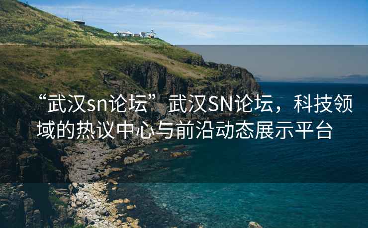 “武漢sn論壇”武漢SN論壇，科技領(lǐng)域的熱議中心與前沿動(dòng)態(tài)展示平臺
