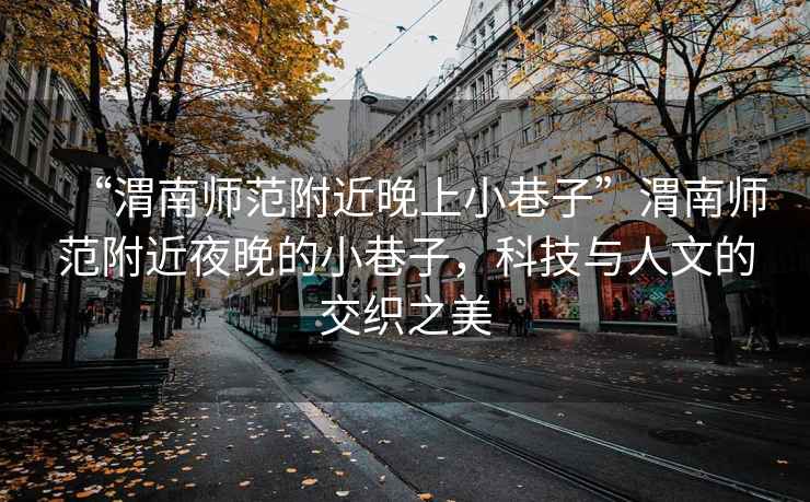 “渭南師范附近晚上小巷子”渭南師范附近夜晚的小巷子，科技與人文的交織之美