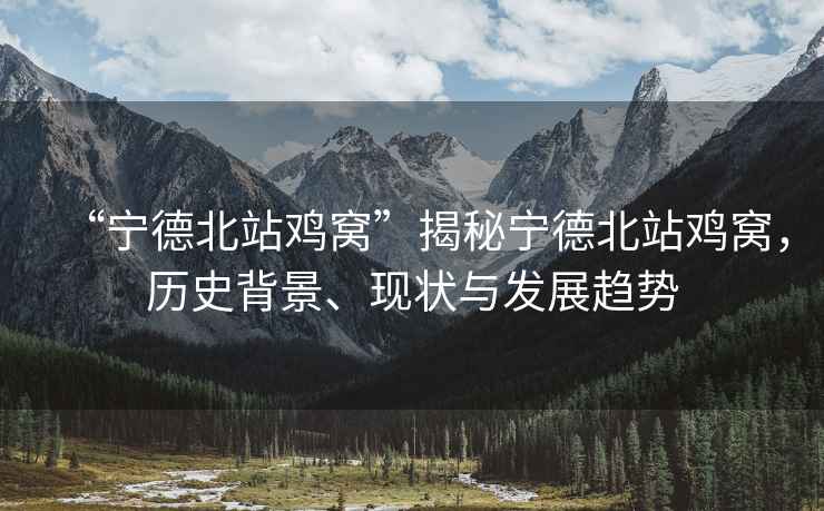 “寧德北站雞窩”揭秘寧德北站雞窩，歷史背景、現狀與發(fā)展趨勢