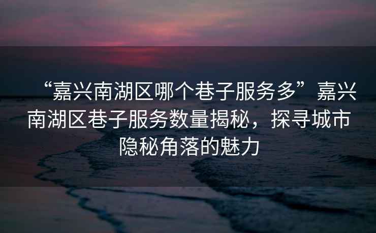 “嘉興南湖區哪個(gè)巷子服務(wù)多”嘉興南湖區巷子服務(wù)數量揭秘，探尋城市隱秘角落的魅力