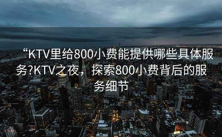 “KTV里給800小費能提供哪些具體服務(wù)?KTV之夜，探索800小費背后的服務(wù)細節