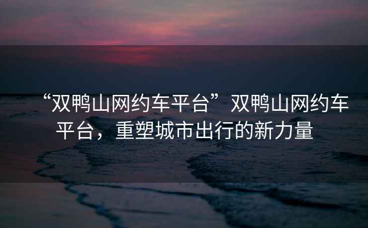 “雙鴨山網(wǎng)約車(chē)平臺”雙鴨山網(wǎng)約車(chē)平臺，重塑城市出行的新力量