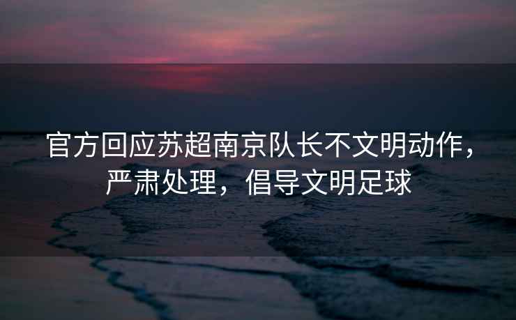 官方回應蘇超南京隊長(cháng)不文明動(dòng)作，嚴肅處理，倡導文明足球