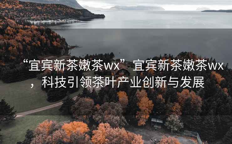 “宜賓新茶嫩茶wx”宜賓新茶嫩茶wx，科技引領(lǐng)茶葉產(chǎn)業(yè)創(chuàng  )新與發(fā)展