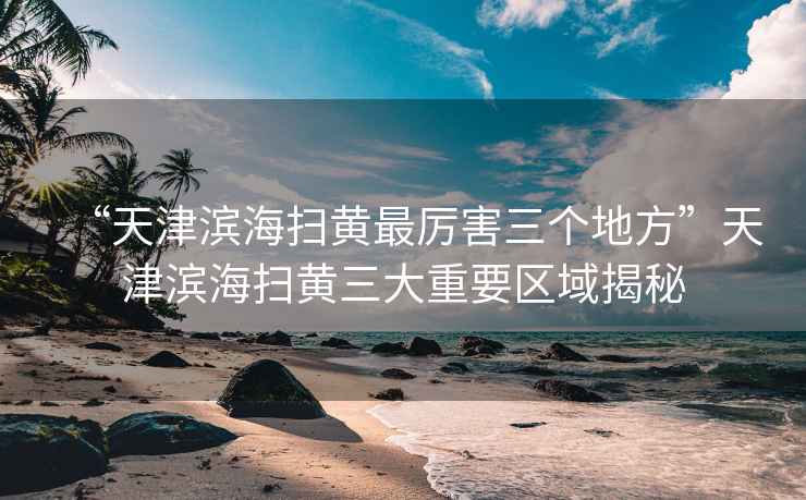 “天津濱海掃黃最厲害三個(gè)地方”天津濱海掃黃三大重要區域揭秘